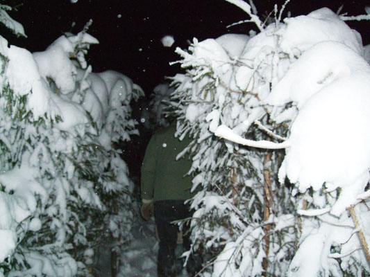 It seems to be possible to disapear in the space of the labyrinth.