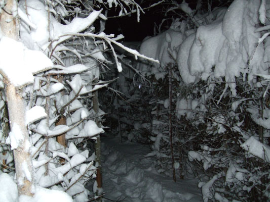 The Llabyrinth still goes on, corner after corner there is a new path.