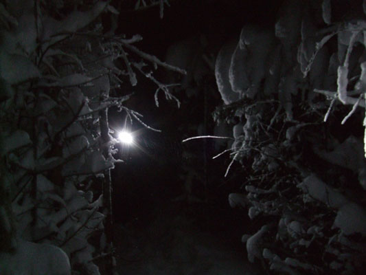 The light creates new shapes and makes it all more mysterious.