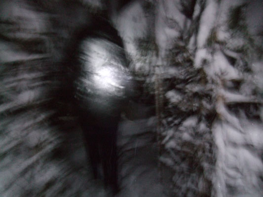 Temporary art work with the light and the camera.