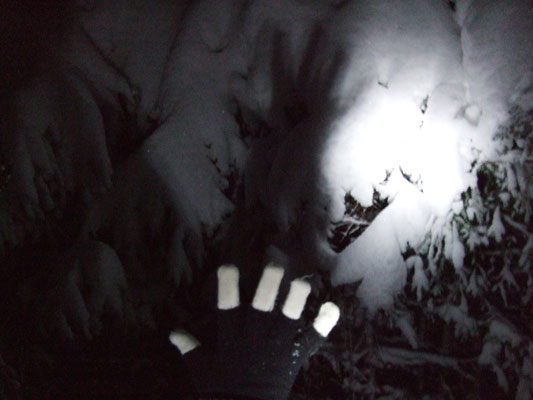 The light contribute to the mysterious atmosphere in the labyrinth.