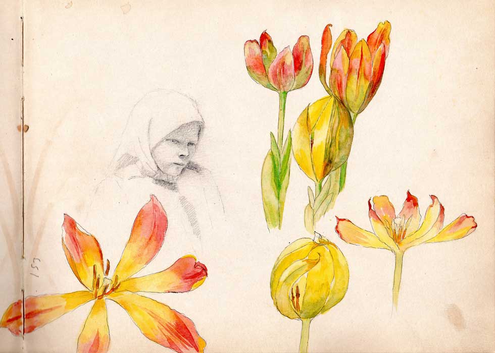 Sketch with tulips and portrait of a child by the artist Anna Sahlst�n 