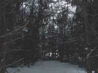 chambre, Marc Walter, Canada